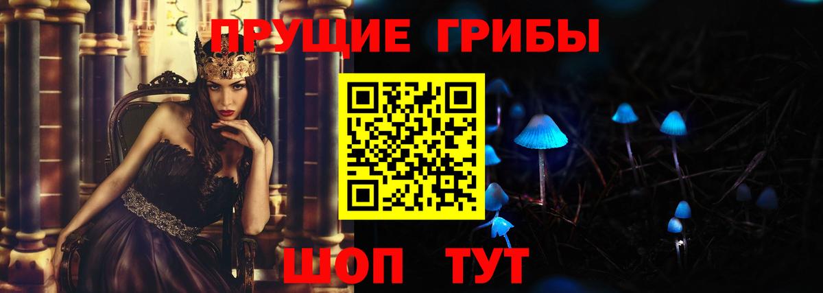 Псилоцибиновые грибы Cubensis Лесосибирск
